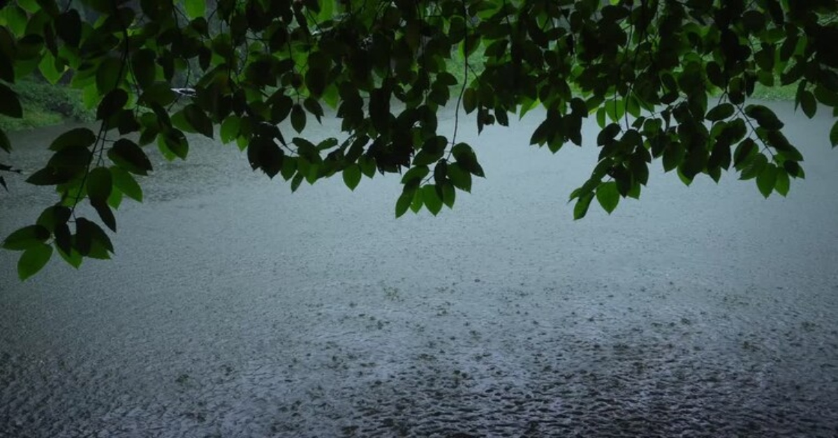 MP Weather Update: आंधी-तूफान के साथ झमाझम बरसे बदरा, 24 घंटे में 20 से ज्यादा जिलों में बारिश, 7 जिलों में ऑरेंज अलर्ट, जानें अपने शहर का हाल