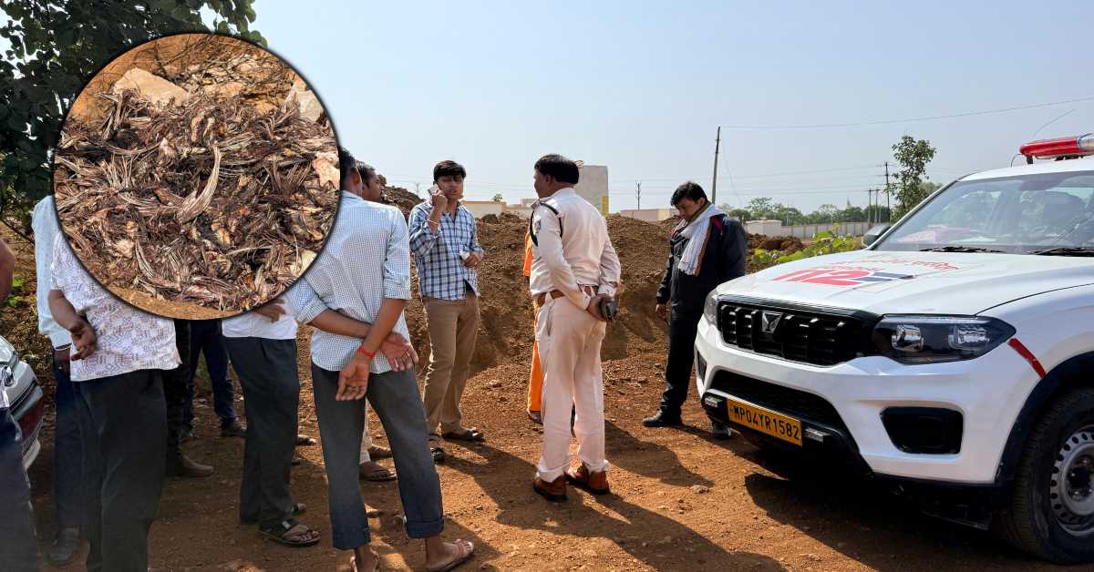 आगर मालवा में आस्था शर्मसार: बाबा बैजनाथ मंदिर के पास फेंके मुर्गों के अवशेष, कार्रवाई की मांग