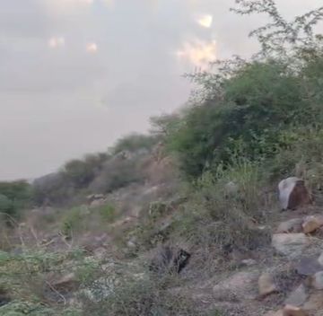 अरावली की पहाड़ियों में मिला नर कंकाल: रेलवे ट्रैक के पास सनसनी… खून के निशान मिलने से हत्या की आशंका