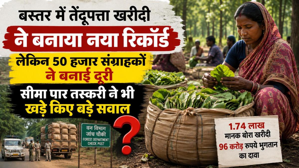 बस्तर में तेंदूपत्ता खरीदी ने बनाया नया रिकॉर्ड, लेकिन 50 हजार संग्राहकों ने बनाई दूरी, सीमा पार तस्करी ने भी खड़े किए बड़े सवाल