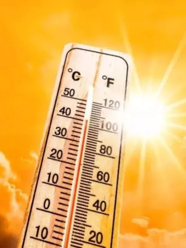 भीषण गर्मी से 1 दिन में 3,400 लोगों की मौत? इन राज्यों के लिए चेतावनी