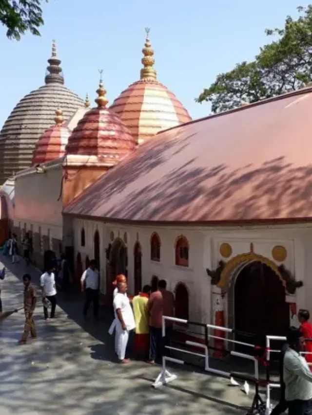 कामाख्या मंदिर में अंबुबाची मेला आज से शुरू, जानें तांत्रिकों को इस मेले का क्यों रहता है  इंतजार