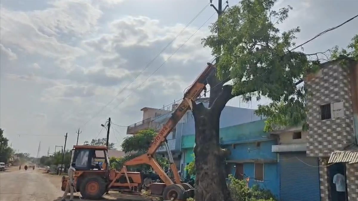 विश्व पर्यावरण दिवस पर सड़क निर्माण के लिए हरे-भरे छायादार पेड़ों की कटाई, पर्यावरण प्रेमी आहत…