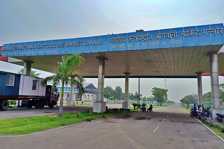 हरियाणा में बन रही एशिया की सबसे बड़ी बागवानी मंडी! आखिर कहां तैयार हो रहा ₹2600 करोड़ का मेगा प्रोजेक्ट, प्रदेशवासियों और किसानों के लिए क्यों है खास? जानिए