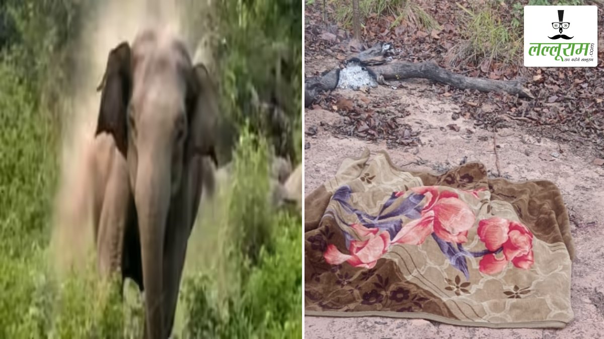 हाथी का आतंक: सड़क निर्माण कार्य में लगे श्रमिकों पर किया हमला, दो की मौत