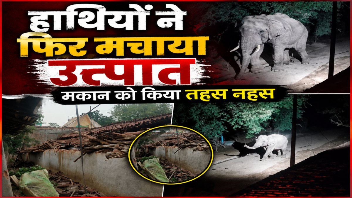 हाथियों ने फिर मचाया उत्पात: 5 मकान और झोपड़ी को किया तहस नहस, चावल कर गए चट, देखें VIDEO