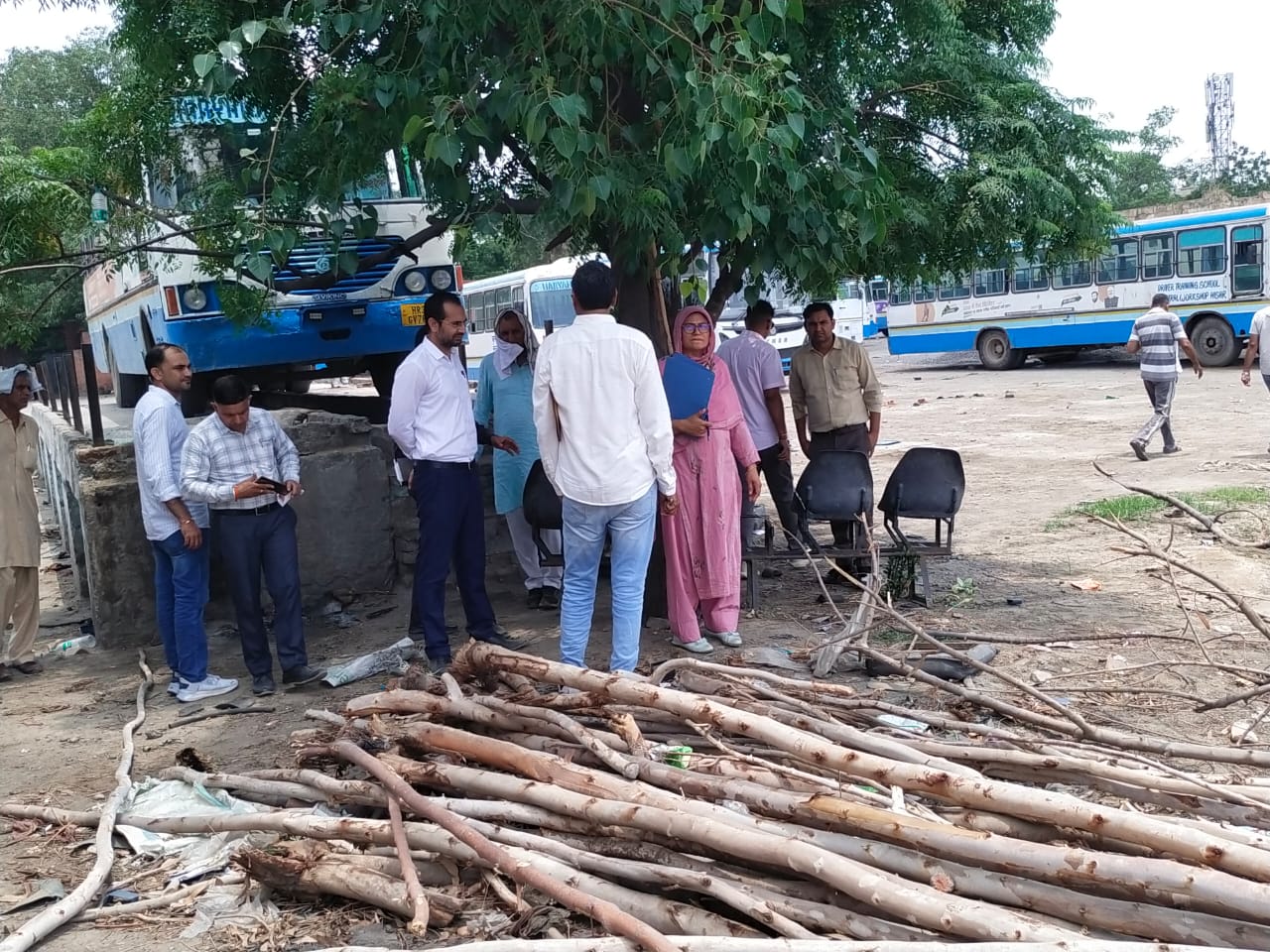 हाईकोर्ट की रोक के बावजूद हरियाणा रोडवेज डिपो में काटे 86 पेड़, सीएम फ्लाइंग की रेड में बड़ा खुलासा