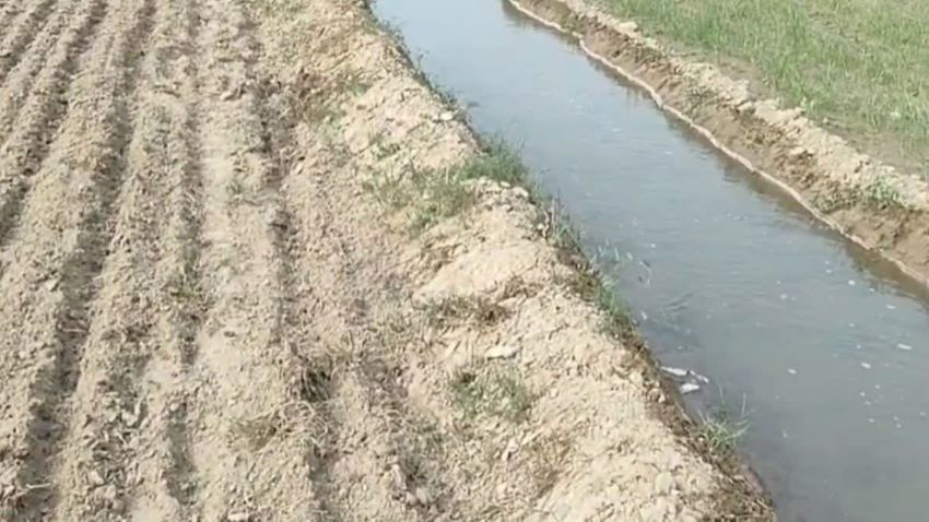 हरियाणा में भूजल संकट गहराया: विशेषज्ञों ने दी चेतावनी, बारिश के बदलते पैटर्न से बढ़ी चुनौती