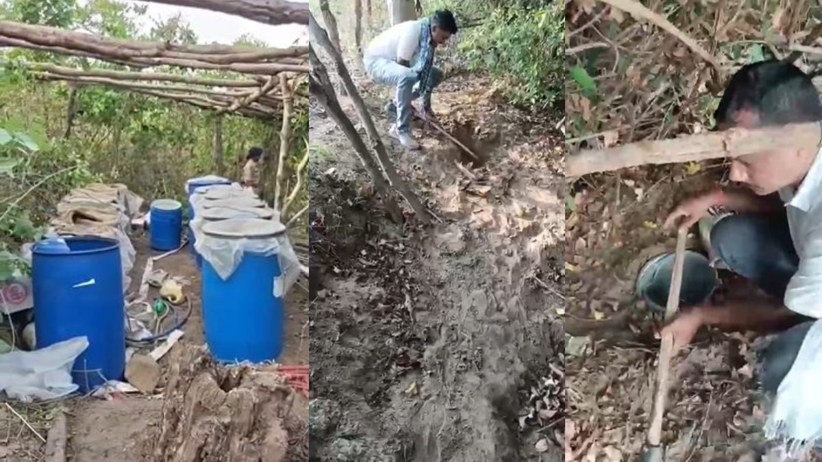 VIDEO: अवैध महुआ शराब का अंडरग्राउंड कारोबार बेनकाब, पुलिस ने खोदे गड्ढे तो निकले ड्रम में भरे 240 लीटर शराब, आरोपी फरार