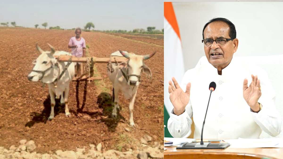 किसानों की चिंता दूर कर रही सरकार : केंद्रीय कृषि मंत्री ने ली खेती-किसानी की जानकारी, अल-नीनो में दलहन-तिलहन और कम अवधि की फसलों पर फोकस