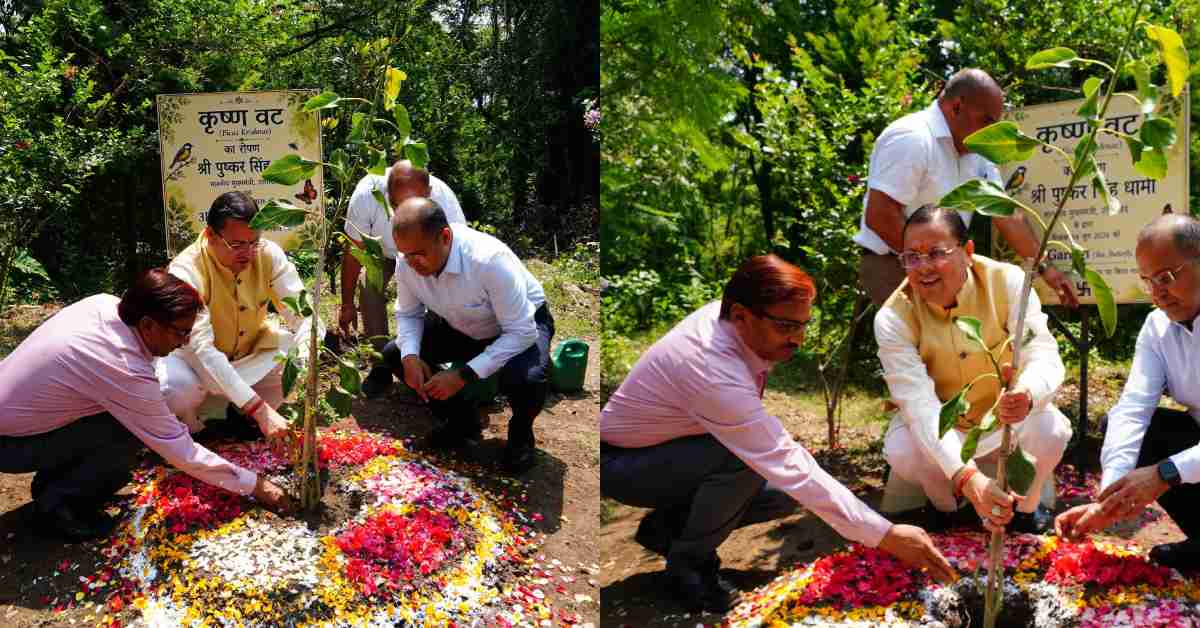 सीएम धामी ने रोपा पौधा, पर्यावरण संरक्षण का दिया संदेश, कहा-प्राकृतिक पारिस्थितिकी तंत्र को सुरक्षित बनाए
