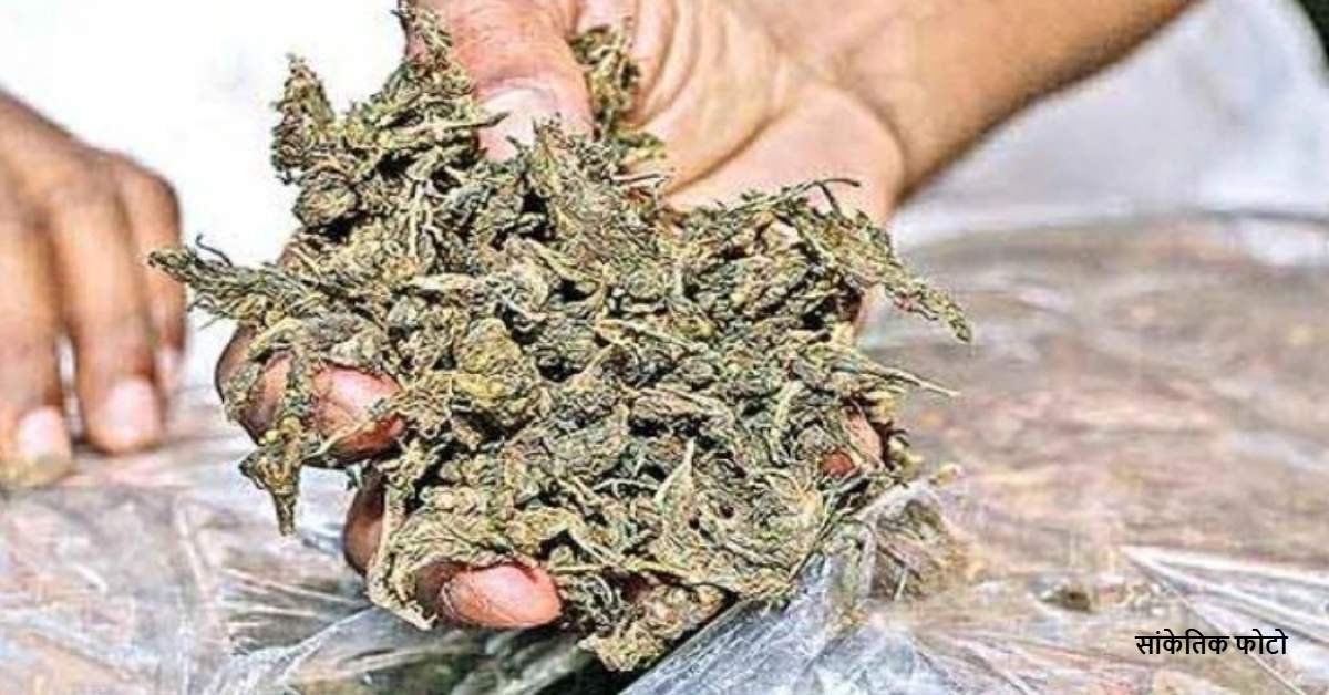 लोहे के एंगल और मसालों के बीच छिपाकर गांजे की तस्करी, 1.25 करोड़ की खेप बरामद