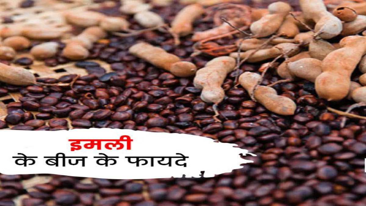 खट्टी-खट्टी इमली का बीज भी हैं सेहत का खजाना, जानिए इसके फायदे …