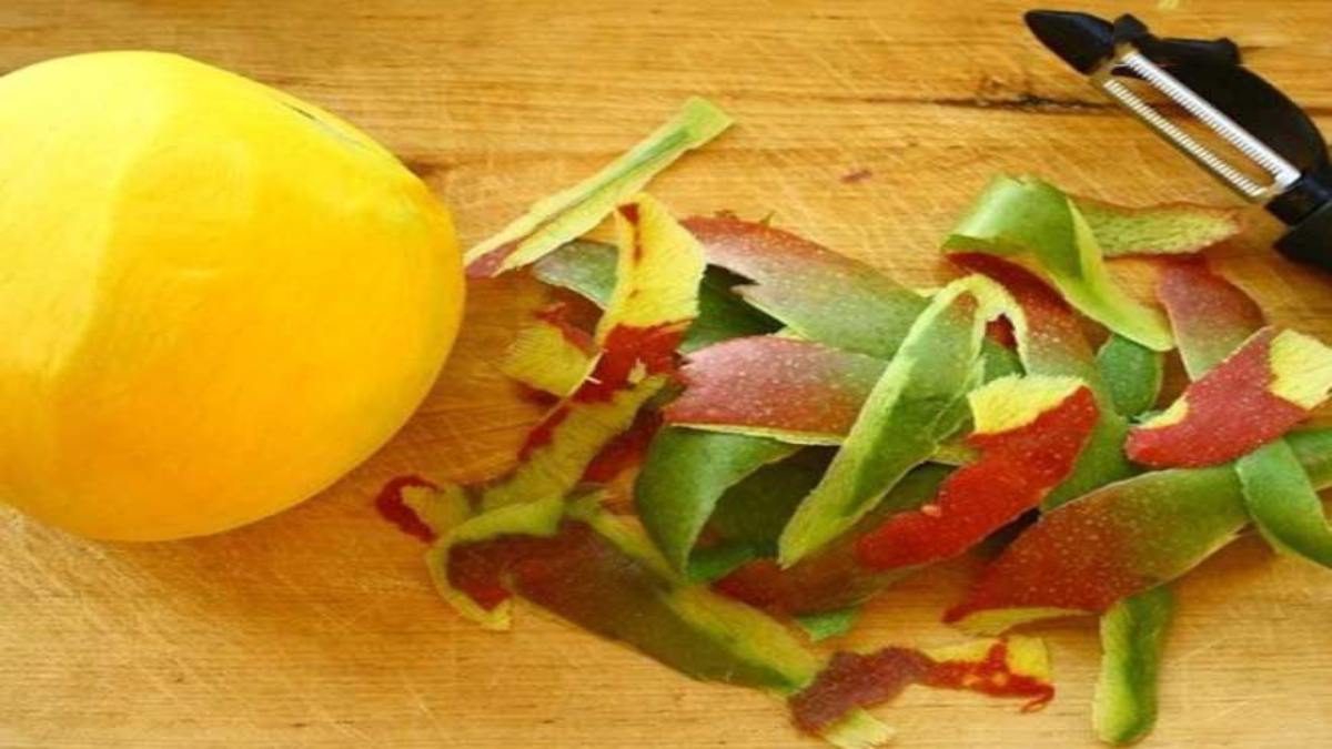 आम के छिलके फेंकने से पहले जान लें ये 5 कमाल के इस्तेमाल, त्वचा से लेकर पौधों तक आएंगे काम …