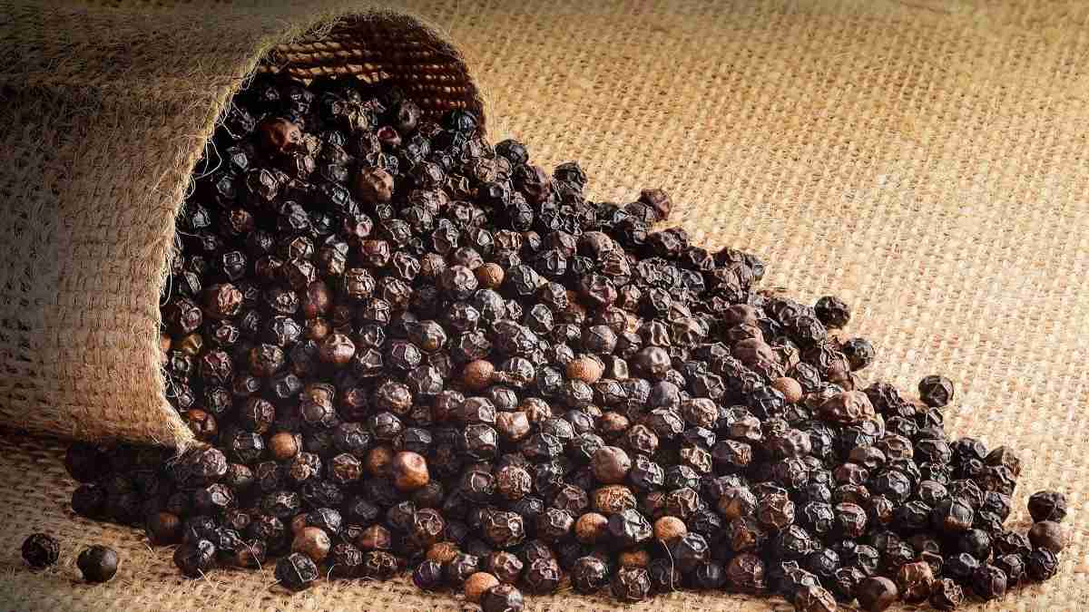 रातों-रात किस्मत बदलने की ताकत रखते हैं ‘काली मिर्च’ के ये 7 टोटके …
