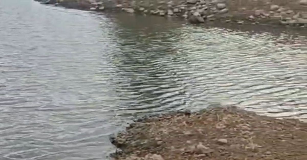 दर्दनाक हादसाः तालाब में डूबने से दो सगे भाइयों की मौत, बैलों को नहलाने के दौरान गहरे पानी में डूबे