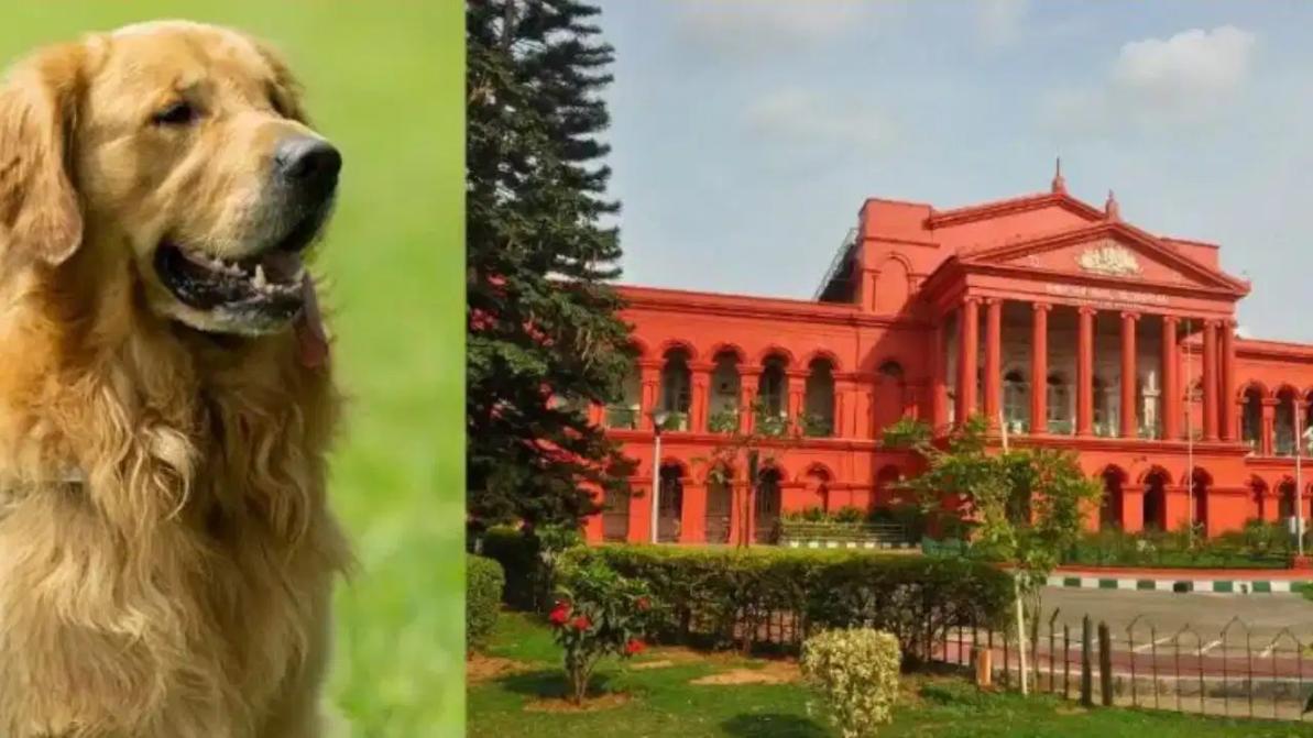 ‘मूक पशु भी जीवित प्राणी है’, कर्नाटक HC ने मजिस्ट्रेट कोर्ट का आदेश रद्द करते हुए कुत्तों को क्रूर मालिक को वापस सौंपने पर लगाई रोक
