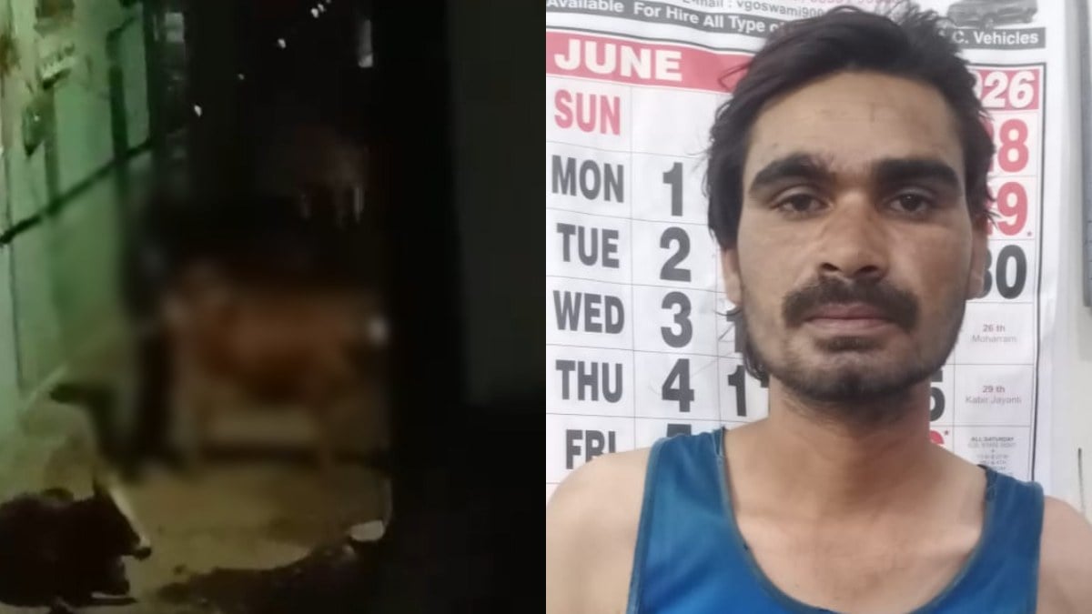 इंसानियत शर्मसार: गाय के साथ युवक ने की ‘घिनौनी हरकत’, CCTV से खुला राज, पुलिस ने आरोपी को गिरफ्तार कर भेजा जेल