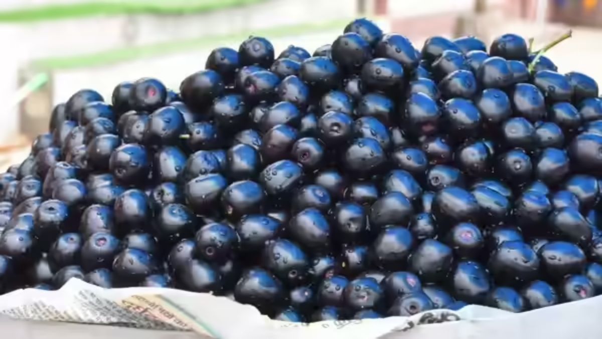 Jamun Storage Tips: बिना पकाए और बिना प्रिजर्वेटिव के महीनों तक ऐसे स्टोर करें जामुन, स्वाद रहेगा बरकरार