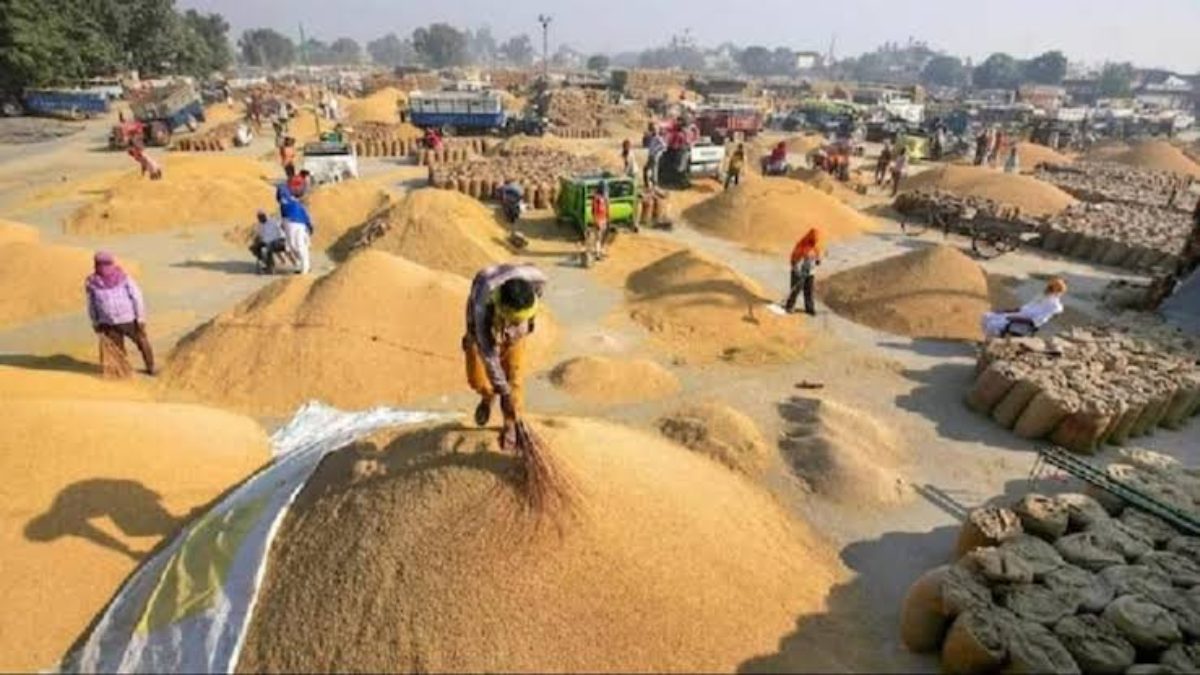किसानों को बड़ी राहत, ओडिशा में रबी धान खरीदी की समयसीमा 3 जुलाई तक बढ़ी