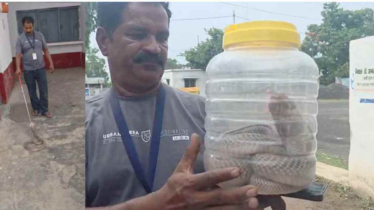 SDM ऑफिस के गार्ड रूम में घुसा 6 फीट लंबा कोबरा सांप, सर्प मित्र ने रेस्क्यू कर जंगल में छोड़ा