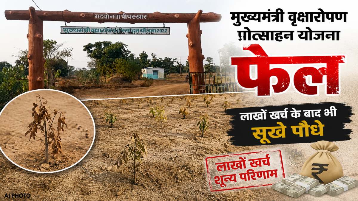 मुख्यमंत्री वृक्षारोपण प्रोत्साहन योजना फेल : पेड़ बनने से पहले ही खत्म हुए पौधे, लाखों खर्च के बाद भी नहीं बचा पाए, प्रशासनिक उदासीनता पर उठे सवाल