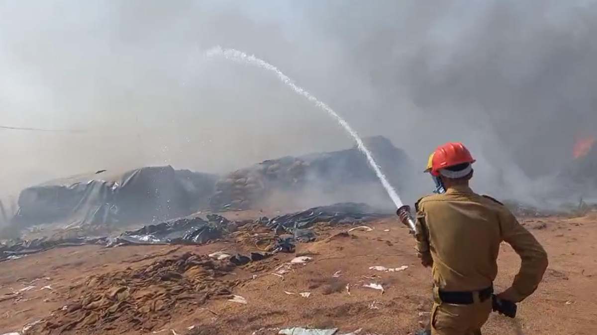 CG News : धान खरीदी केंद्र में लगी भीषण आग, 300 बोरा धान जलकर राख, देखें VIDEO…