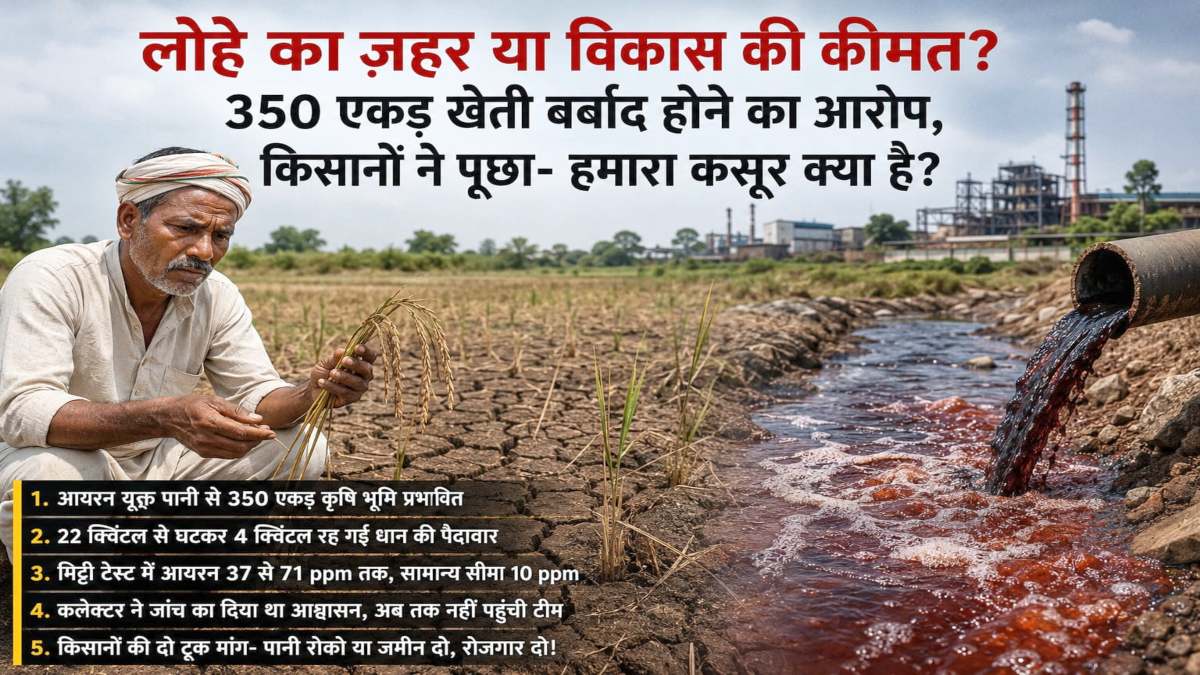 NMDC के काले पानी से 350 एकड़ खेती पर संकट! किसानों ने कहा – आयरन युक्त पानी ने खेतों को बनाया बंजर, 22 क्विंटल से 4 क्विंटल तक सिमटी पैदावार