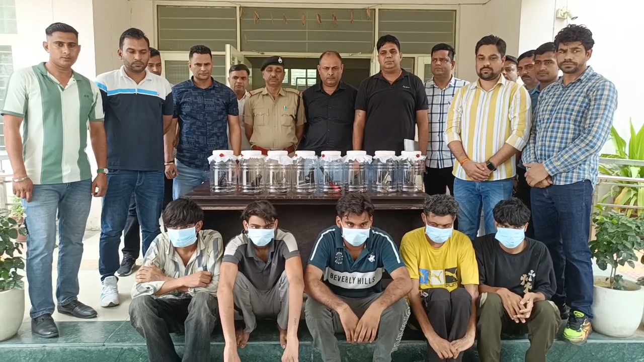 करनाल CIA-1 की बड़ी कार्रवाई: 8 अवैध हथियार और 30 कारतूस के साथ 5 आरोपी गिरफ्तार