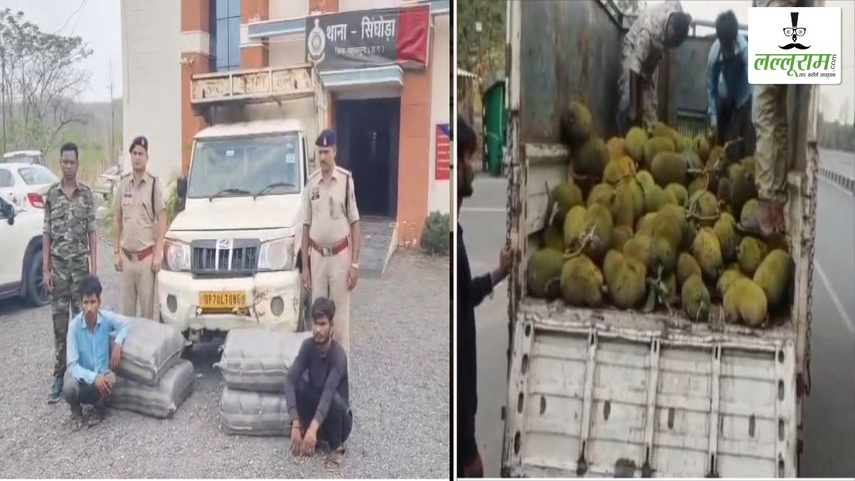 तस्कर के प्लान पर फिरा पानी: पिकअप में कटहल के आड़ में हो रही थी गांजा तस्करी, 62.85 लाख का माल जब्त, दो आरोपी गिरफ्तार