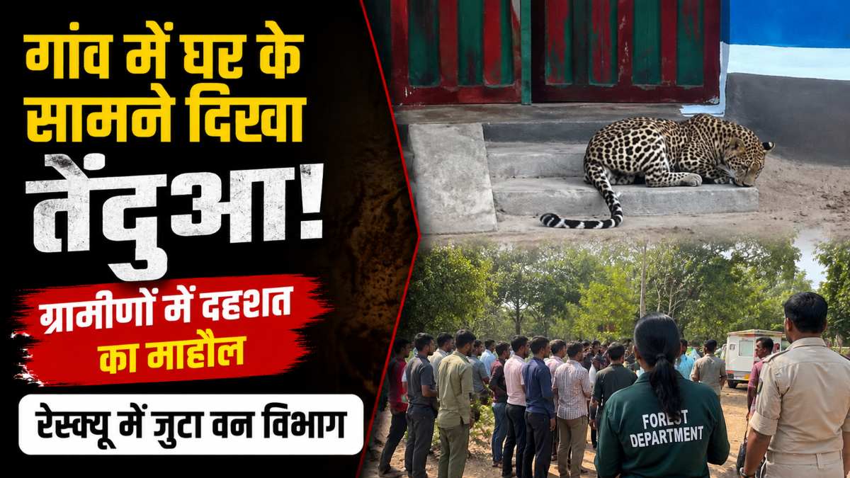 गांव में घर के सामने दिखा तेंदुआ, ग्रामीणों में दहशत का माहौल, रेस्क्यू में जुटा वन विभाग