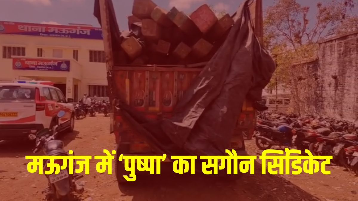 सागौन तस्करी में शामिल जंगल का रखवाला! रेंजर की माफिया से मिलीभगत, ऑडियो लीक से फूटा भांडा, पढ़ें ‘पेटी’ के बंटवारे की इनसाइड स्टोरी
