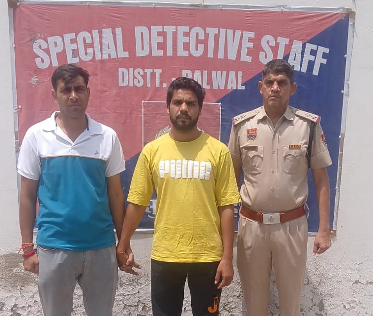 पलवल: एंटी नारकोटिक्स सेल की बड़ी कार्रवाई, अवैध हथियार के साथ यूपी का आरोपी गिरफ्तार