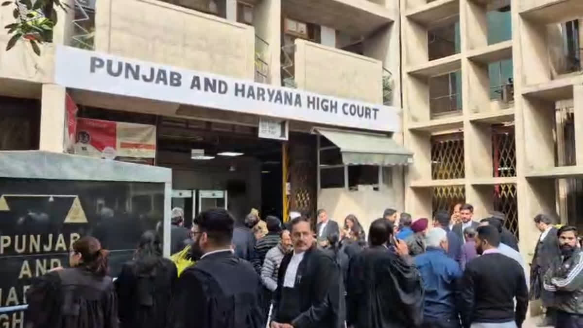 अतिथि लेक्चररों की बल्ले-बल्ले: हाईकोर्ट का आदेश, तय समय में नहीं हुआ फैसला तो लगेगा 50 हजार जुर्माना