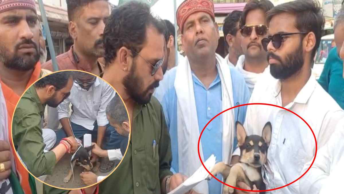 कांग्रेस का अनोखा प्रदर्शन: अधिकारी नहीं आए तो कुत्ते को सौंप दिया ज्ञापन, डॉग को सुनाई समस्याएं