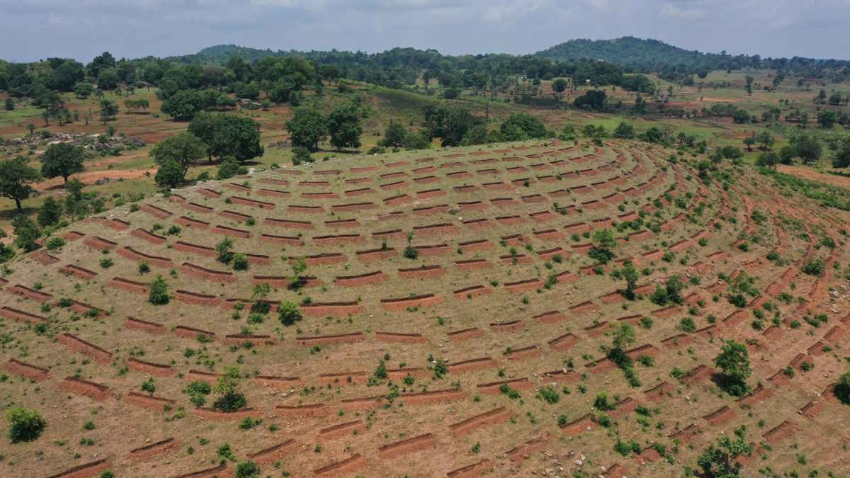 आलेख: पानी रुकेगा तो समृद्धि भी ठहरेगी, ब्लू वाटर से ग्रीन वाटर की ओर बढ़ने का समय – IAS तारण प्रकाश सिन्हा