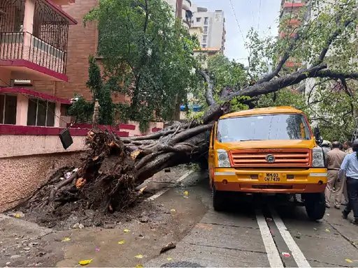 मुंबई में दर्दनाक हादसा: स्कूल बस पर पेड़ गिरने से 11 वर्षीय छात्र की मौत, 11 बच्चे घायल