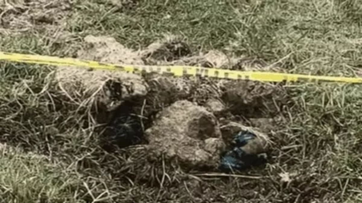 भोजपुर में झारखंड की युवती की गला रेतकर हत्या, खेत में मिली लाश