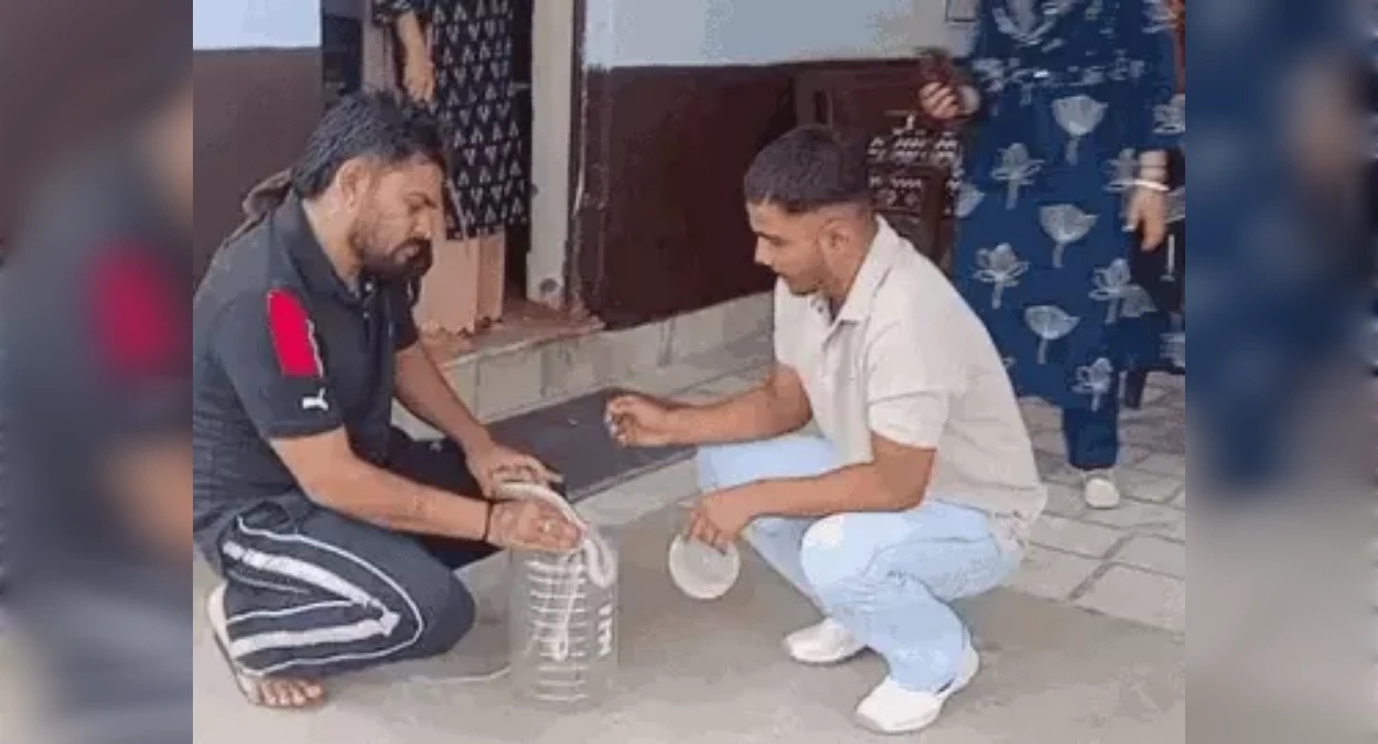 क्लासरूम में दिखा 6 फीट लंबा मेहमान, मची चीख-पुकार, तुरंत बंद करना पड़ा पूरा स्कूल
