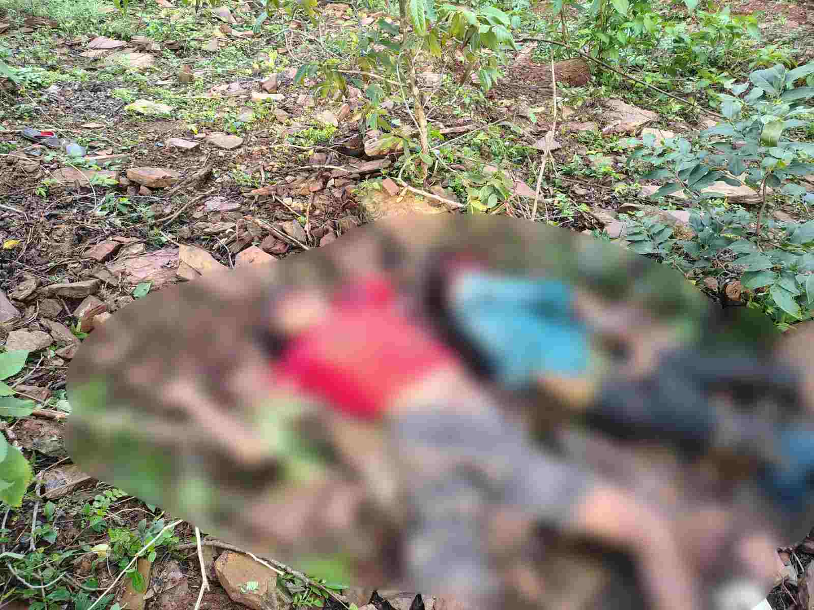 50 फीट गहरी खाई में गिरी बाइक: दर्दनाक हादसे में पिता-पुत्र की मौत, महिला गंभीर घायल 