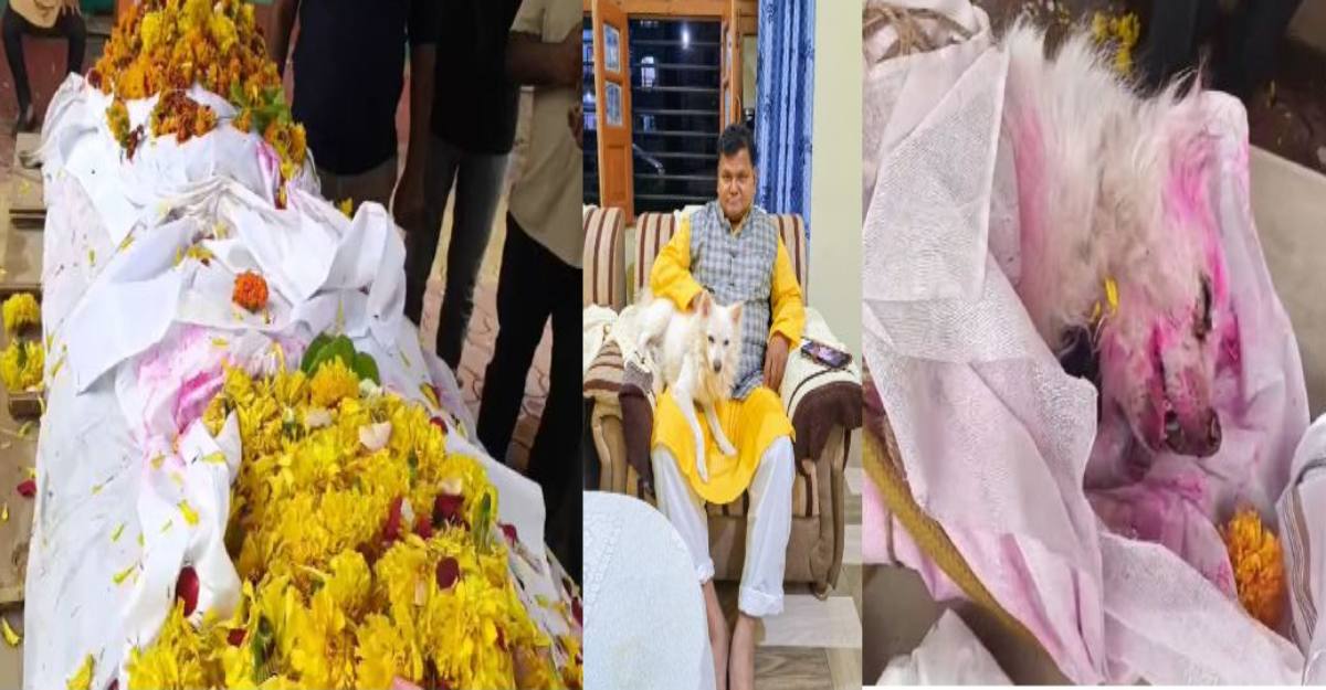 इंसान और बेजुबान के अटूट प्रेम की मिसाल: मालिक की अर्थी के पीछे चल रहा था वफादार डॉग, कुछ दूर चलते ही थम गईं सांसें, नम आंखों से दोनों को दी गई विदाई