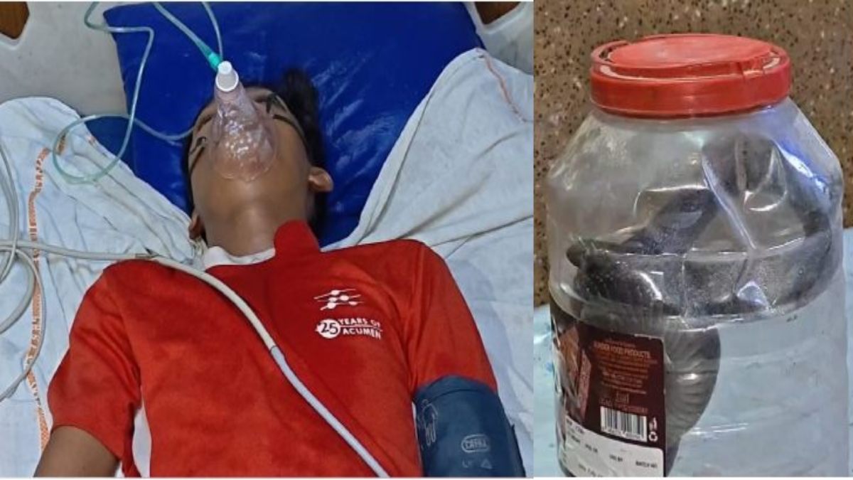 अजब-गजब मामलाः सांप ने काटा तो परिजन डिब्बे में बंद कर ले आए अस्पताल, नजारा देख डॉक्टर भी रह गए दंग