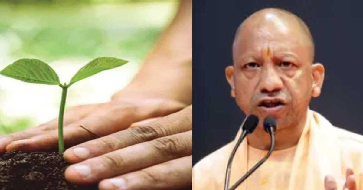 इतिहास रचने की तैयारीः एक दिन में 35 करोड़ पौधे लगाएगी योगी सरकार, जानिए कैसे पूरा होगा इतना बड़ा लक्ष्य…