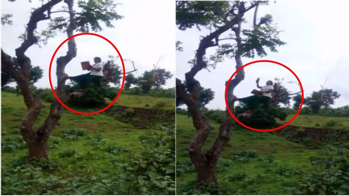 हाजिरी का ‘हाईटेक’ संकट: मोबाइल नेटवर्क के लिए पेड़ पर चढ़ने को मजबूर महिला एएनएम, वीडियो वायरल