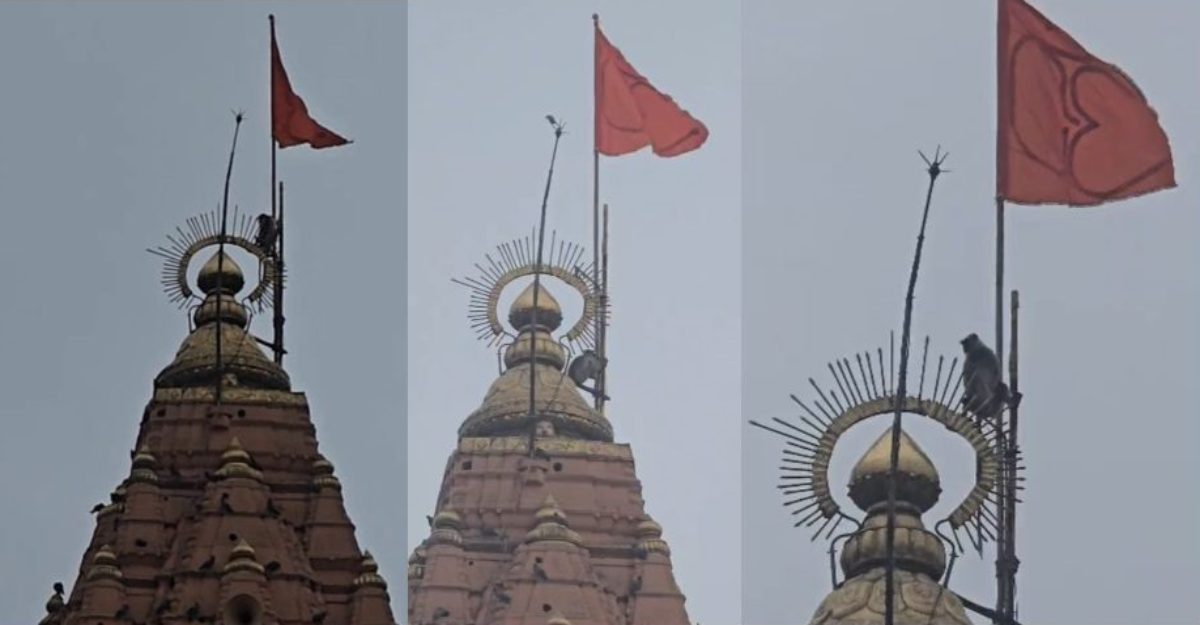 महाकाल नगरी में सावन की अलौकिक शुरुआत: मंदिर शिखर पर ध्वज थामे दिखे हनुमान जी का स्वरूप, गूंजे जयकारे