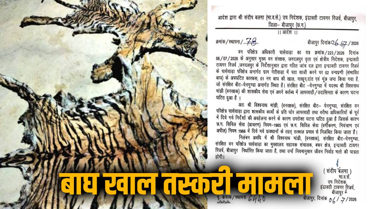 बाघ खाल तस्करी मामले में बड़ी कार्रवाई, पासेवाड़ा रेंजर, डिप्टी रेंजर और बीट गार्ड निलंबित