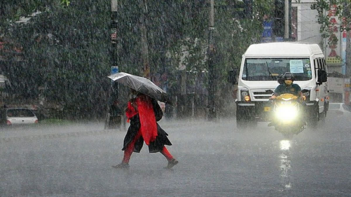 हरियाणा में मानसून की दस्तक तेज: कई जिलों में झमाझम बारिश, हिसार में गर्मी से युवक की मौत