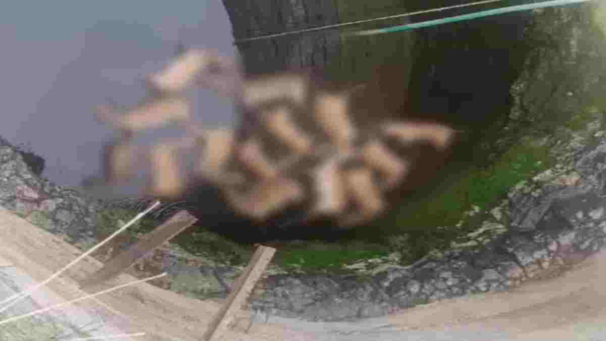 दर्दनाक मंजर: कुएं में गिरने से 13 हिरणों की मौत, एक कुत्ता भी मिला मृत, मचा हड़कंप 