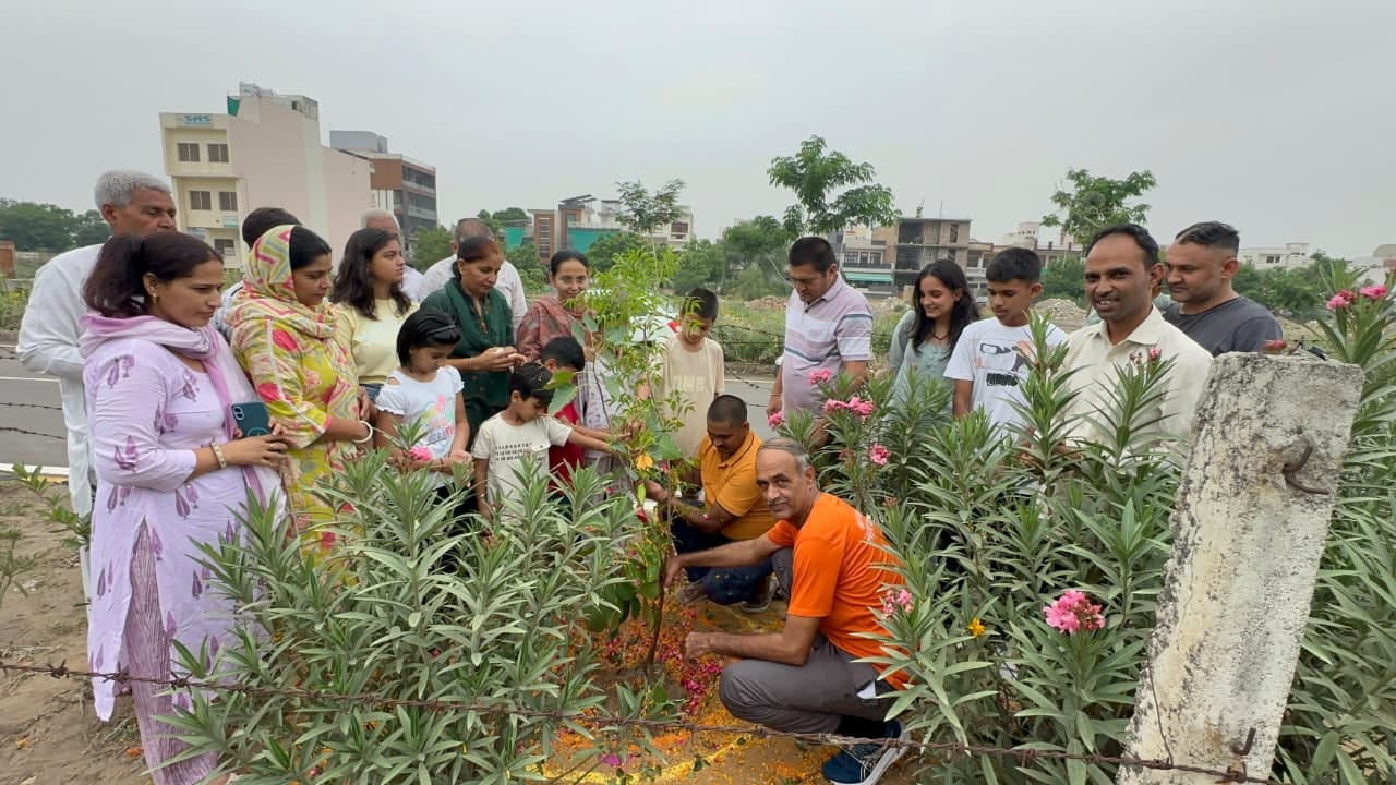 15वीं शादी की सालगिरह पर त्रिवेणी रोपण, पर्यावरण संरक्षण का दिया अनूठा संदेश