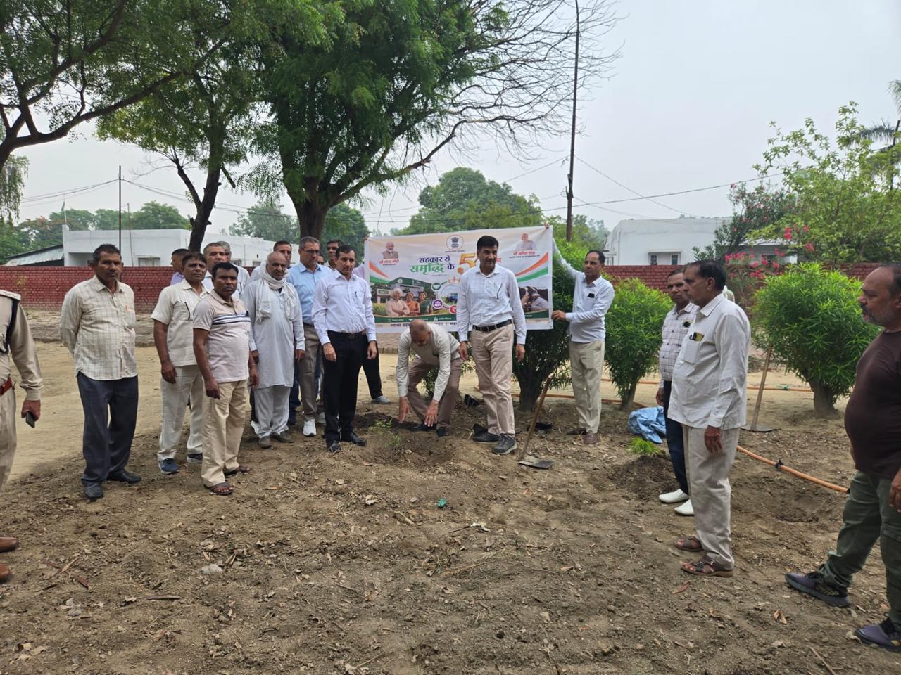 राष्ट्रीय सहकारिता सप्ताह पर कैथल सहकारी चीनी मिल में पौधारोपण, 100 पौधे लगाकर दिया पर्यावरण संरक्षण का संदेश